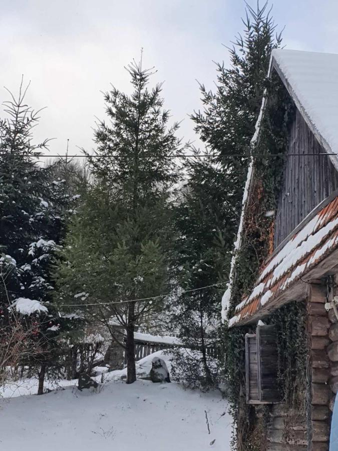 Хатина Біля Потока Villa Lumshory Exterior photo